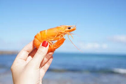 Shrimp Therepy
