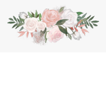 ~pink Roses~