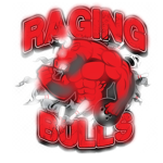 The OG Raging Bulls