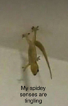ADJACENTVILLE AIRPORT SECURITY DIVISION