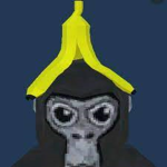 koksy_z_robloxa