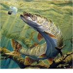 LEGEND LAKE FISHING