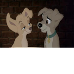 Dogs rule group