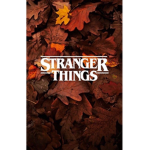 Stranger things troops
