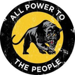 The Panther Kingdom