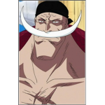 THE ONE PIECE BELIEVER