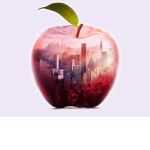 Welcome to New York