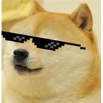 Doge Group EXTREME