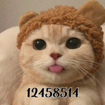 C4tlvrs