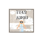 TEAM AMIGIS