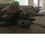 The Sea Turtle Sqaud