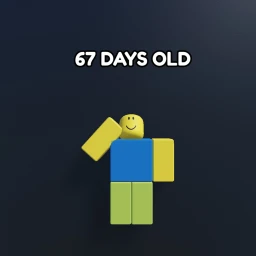 How Old Is Your Roblox Account icon