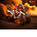 atvs forever
