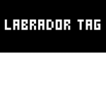 Labrador Tag