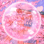 *cherry blossom studios*
