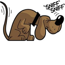 sniff's obby