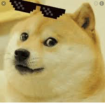 Doge squad/fam