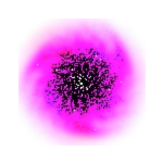 Ultrafuchsia