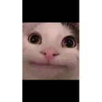 Ima poo poo diper
