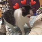 BLIZY