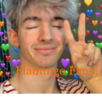 Flamingo Blisters