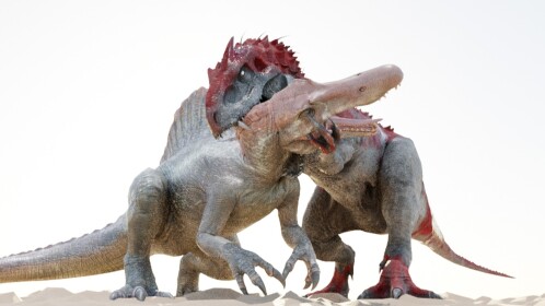 Jurassic Tests (DISCONTINUED)