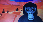 Ohio Monkeys
