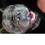 Feeeet