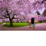 Iris' Photo Edits❀