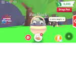The Skat3r Clan Of Robloxia.