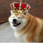 The doge kings.