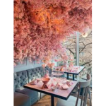 Blossom Cafe Bloxburg