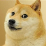 ######## doge ####