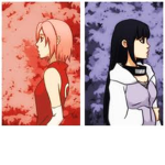 The Hinata & Sakura gourp