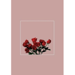 Aesthetic Roses #stopanimaltesting