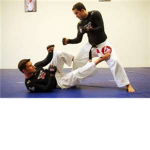 Mixed Martail Arts UFC