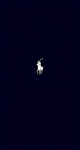 XxAnimal_WarriorsxX