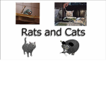 RATS AND CATS UNITED