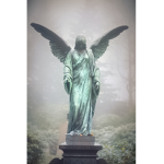 Angel fan club 1