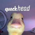 SEAQSHVLL'S group
