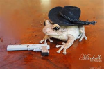 The Frog West