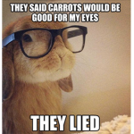 Animals for the win!!!!!! =)