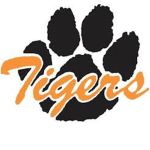 Twin Tiger Studios