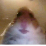 로벅스 친구 한태줌