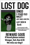 LOST DOG SPARK