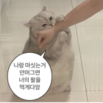 킬다 그룹