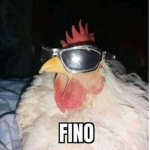 ChitpostxD