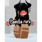 Camélia ruru