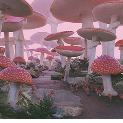 - Cottage Mushrooms - Roblox group icon