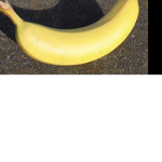 Banana Circle